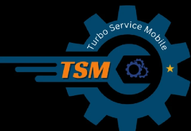 TSM TOOL ( 6 Months 1 Pc )