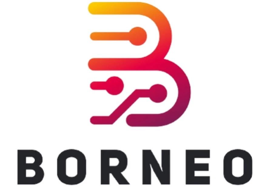 Borneo Schematics Hardware Tool Activation [ 1 Year ]  New/Renew  ( 2 Users )